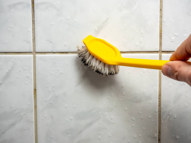 Best Mold Removal Process  in Eastport, ME