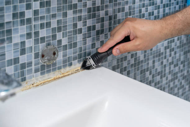 Best Home Mold Removal  in Eastport, ME